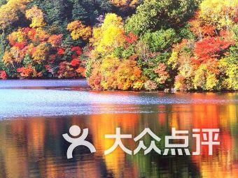 拯救红色方块