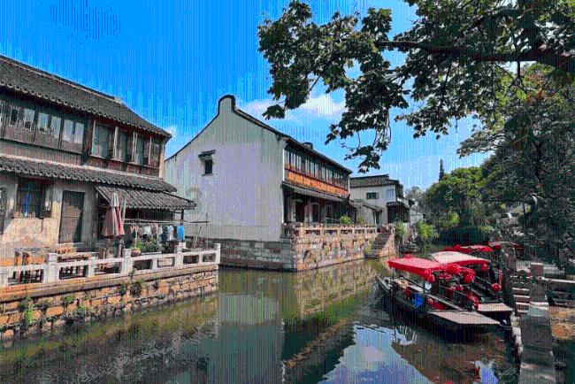 呆萌动物园